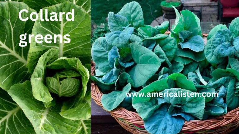 The Superfood You’re Missing Out On – Collard Greens’ Astonishing Health Benefits!