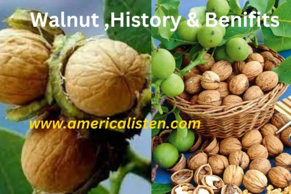 Walnut & its Benifits