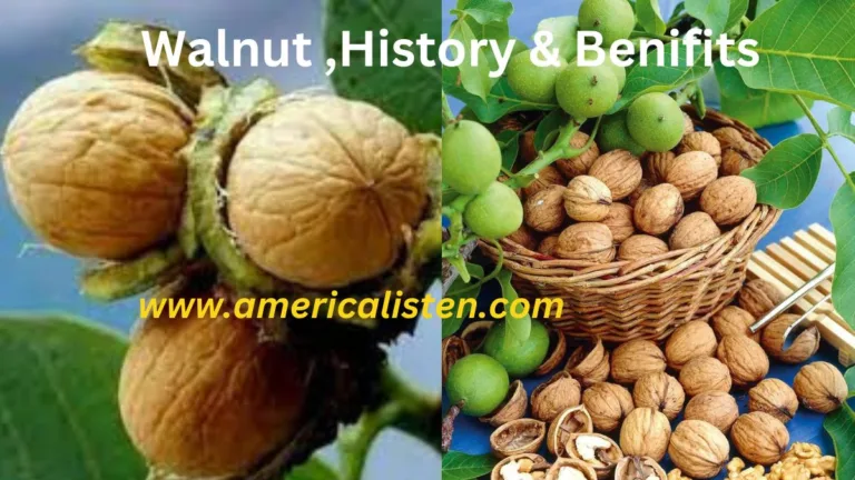 Walnut & its Benifits