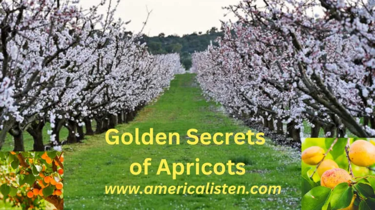 “Unveiling the Golden Secrets of Apricots: A Journey Through History, Health, and Flavor!”