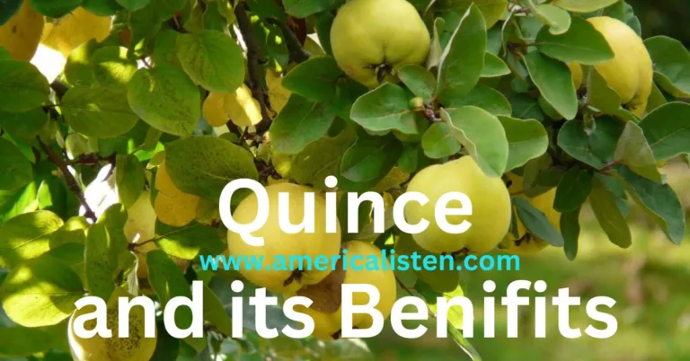 Unlock the Hidden Power of Quince: You Won’t Believe Its Incredible Benefits!”