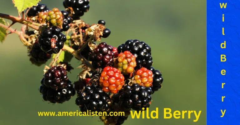 Wild Berry From Forest to Feast: Epic Recipes You Won’t Believe Exist!